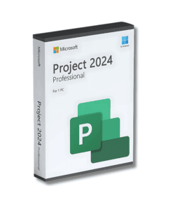 Microsoft Project 2024 Professional