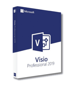 Microsoft Visio Professional Professional 2019