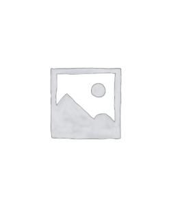 MS Office